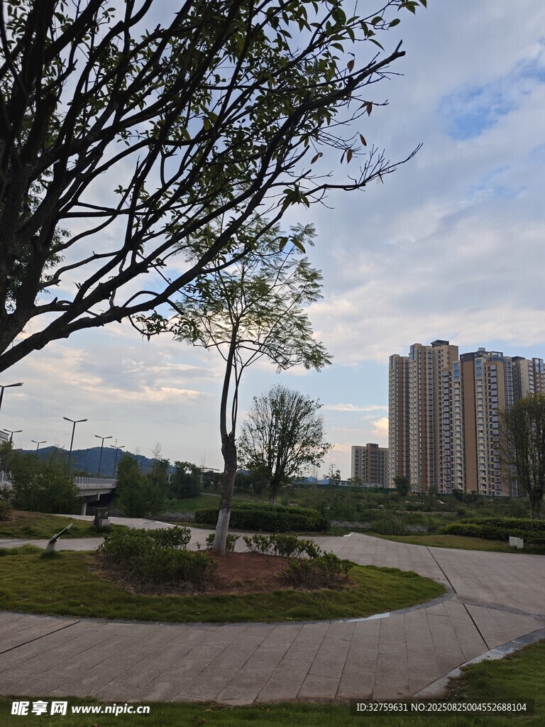 城市公园的宁静景致