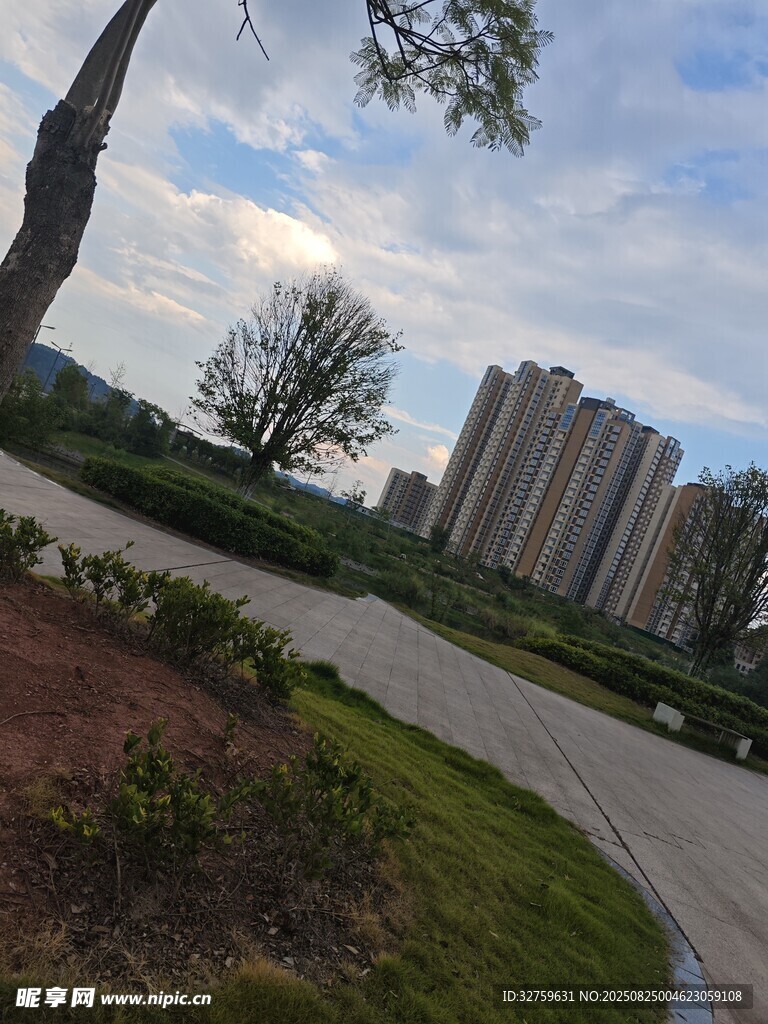 城市中的绿化道路景观