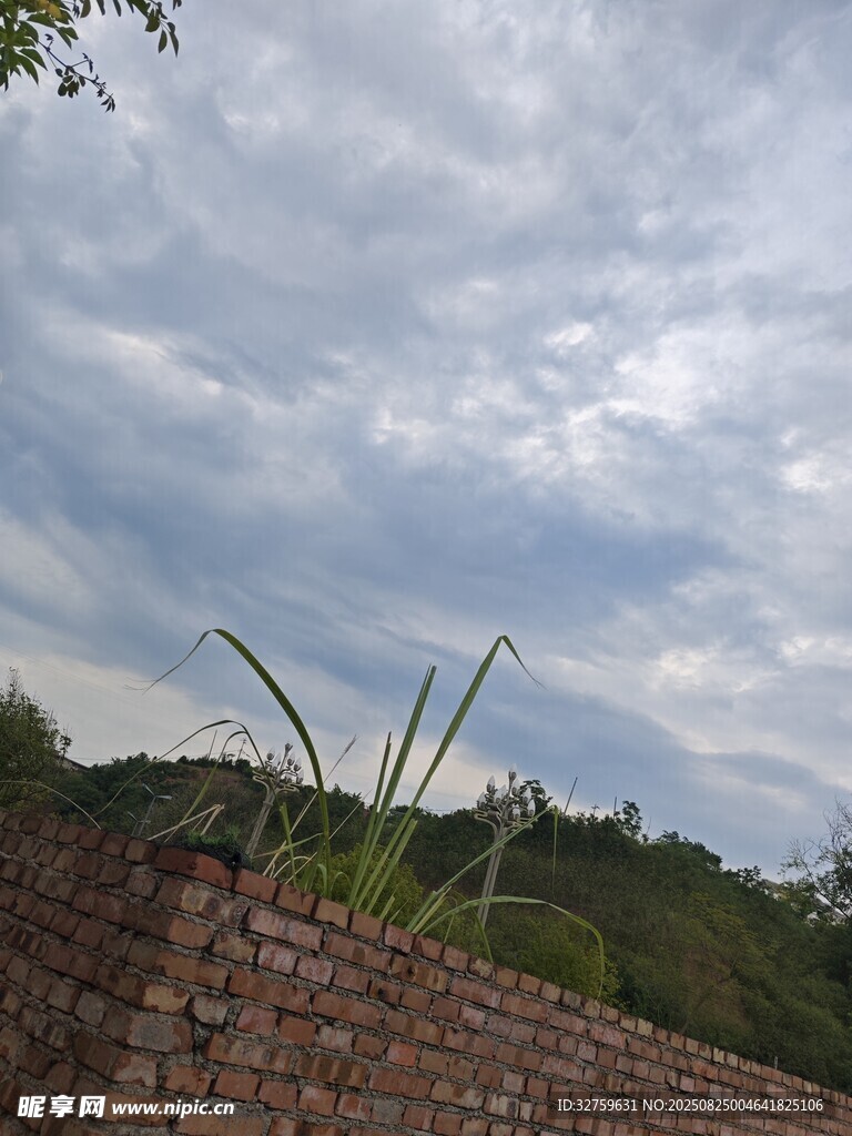 砖墙之上的天空与野草