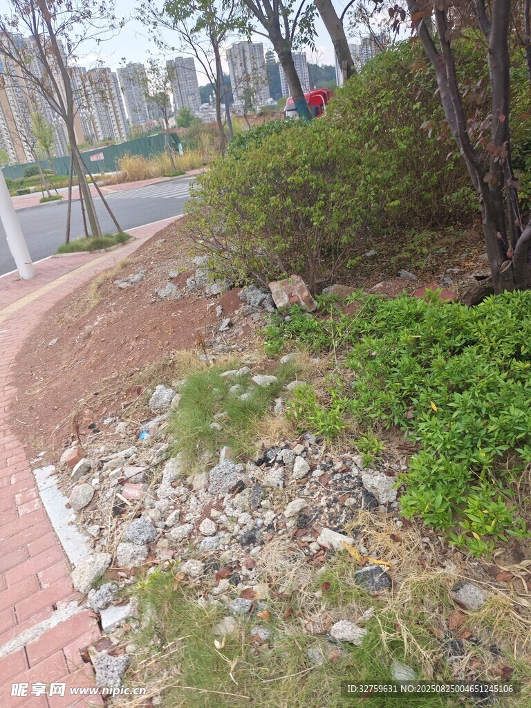 路边碎石与绿植景观
