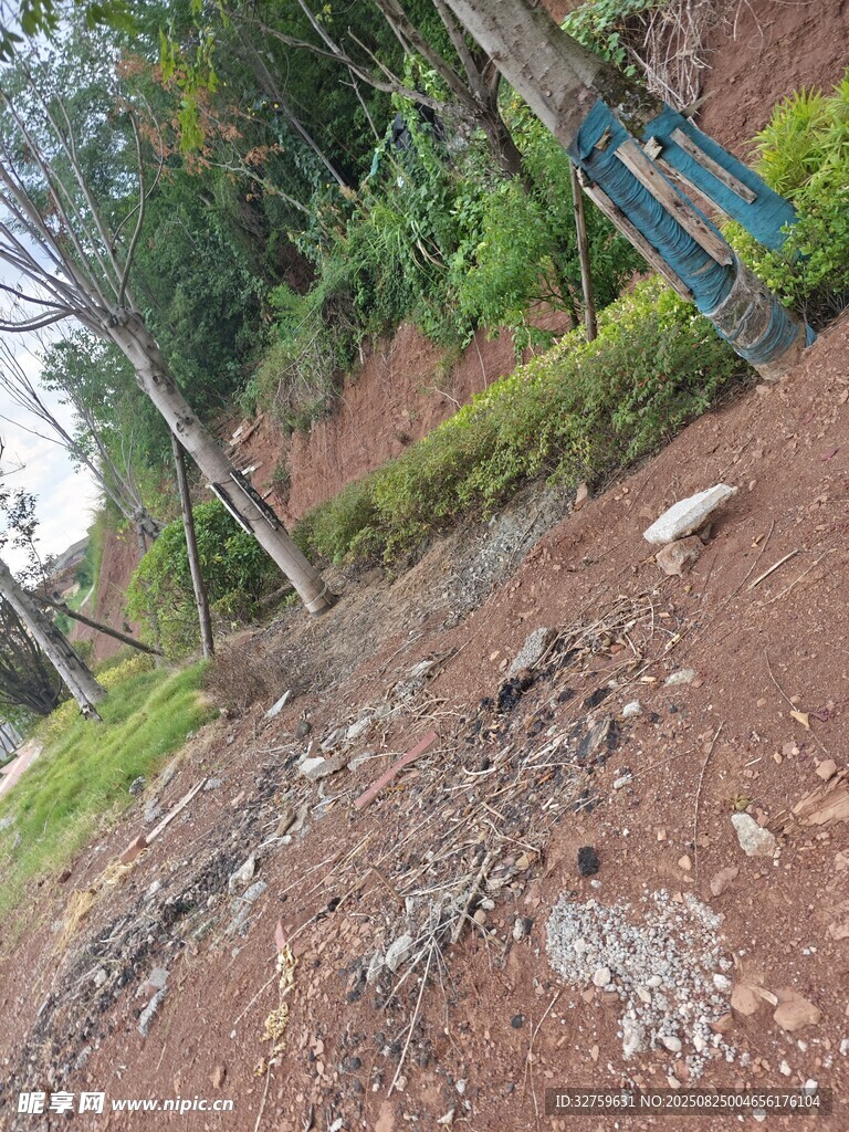 户外自然场景中的地面景象