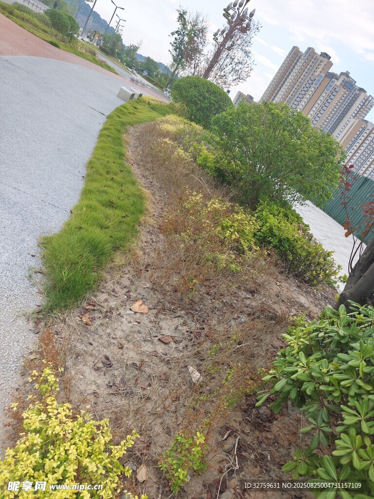 路边绿化带景观