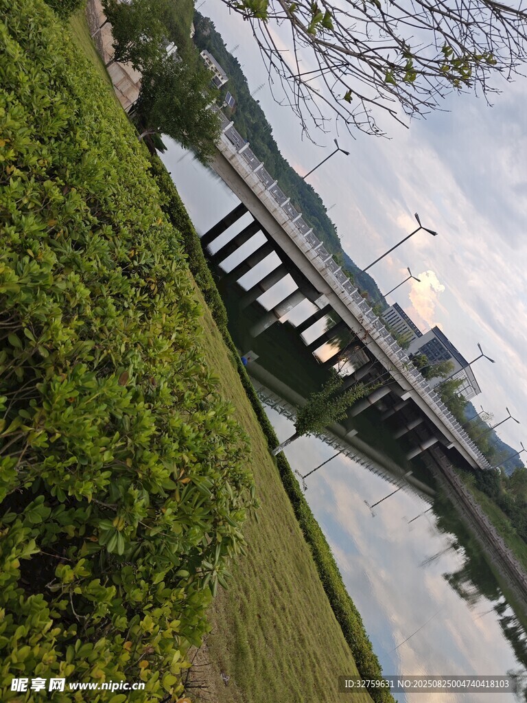 河畔桥梁与绿植景观