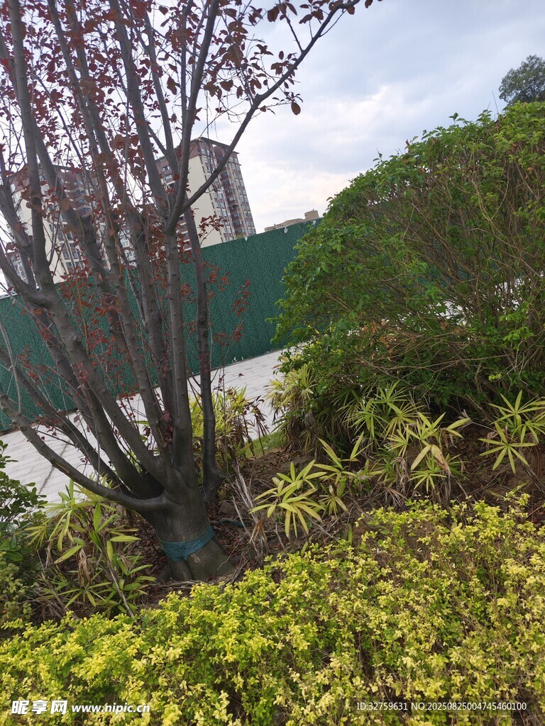 户外绿植景观一角