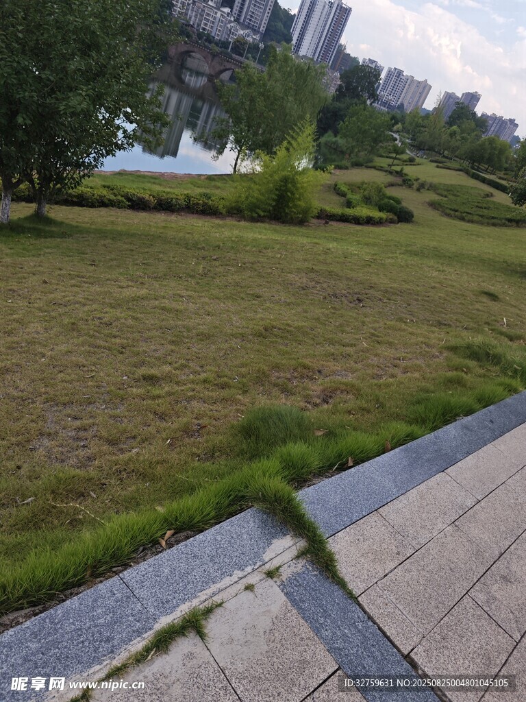城市中开阔的草地景观