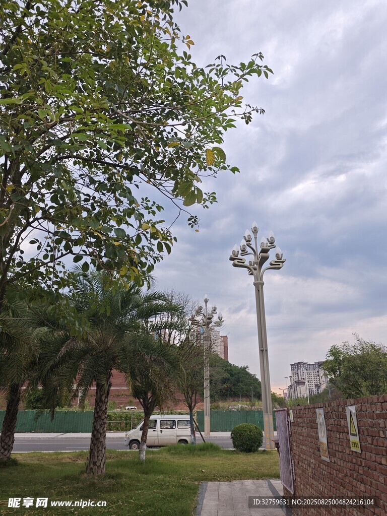 户外绿树环绕的休闲场景