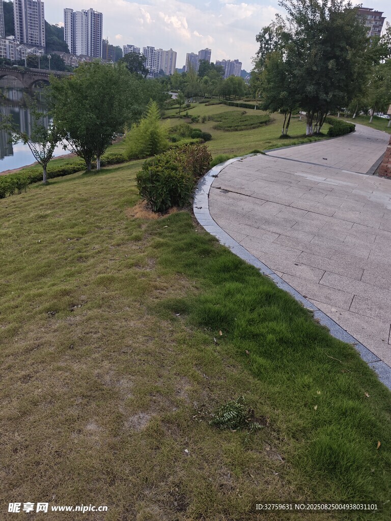 城市公园草地与步道景观