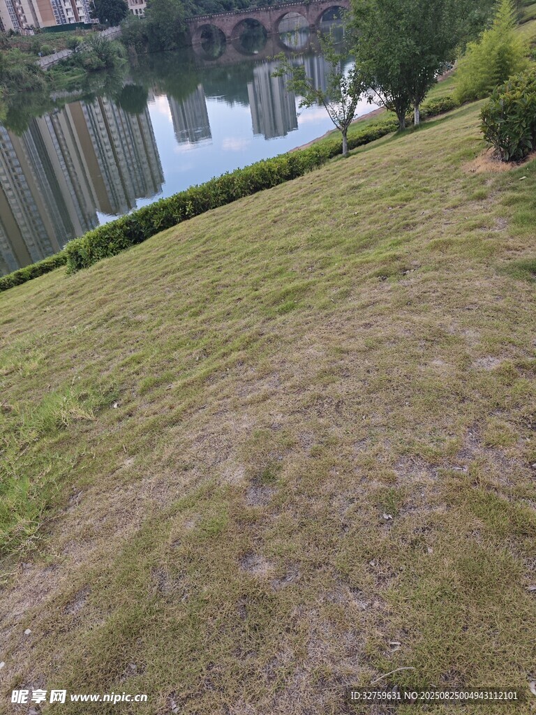 湖边草地风景
