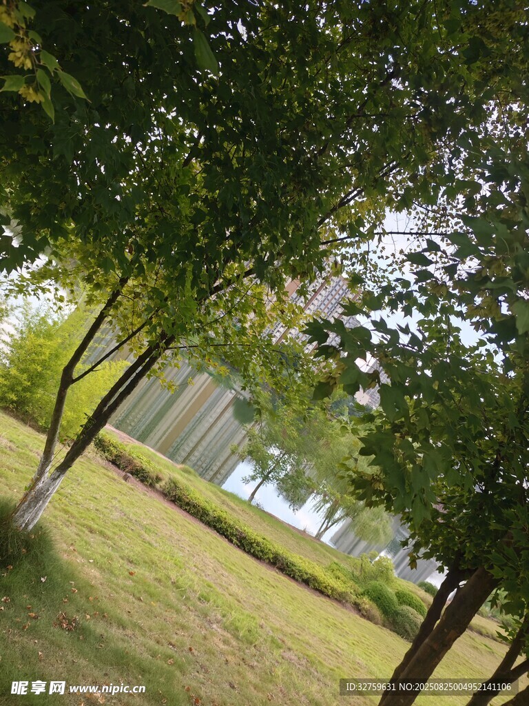 绿树环绕的开阔草地景观