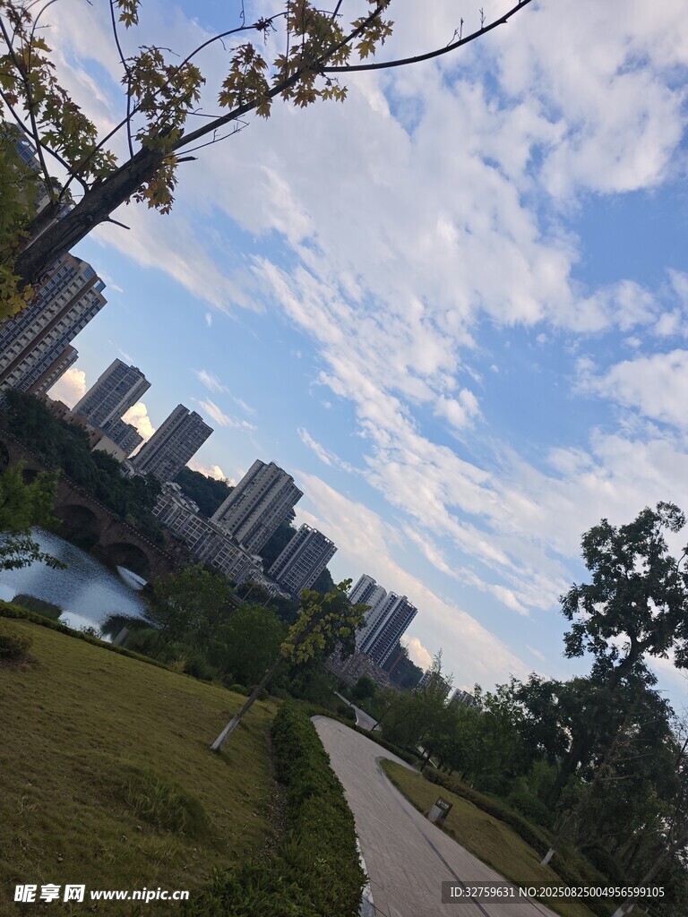 城市公园中的自然风光