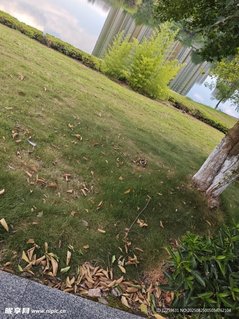 户外草地及周边景致