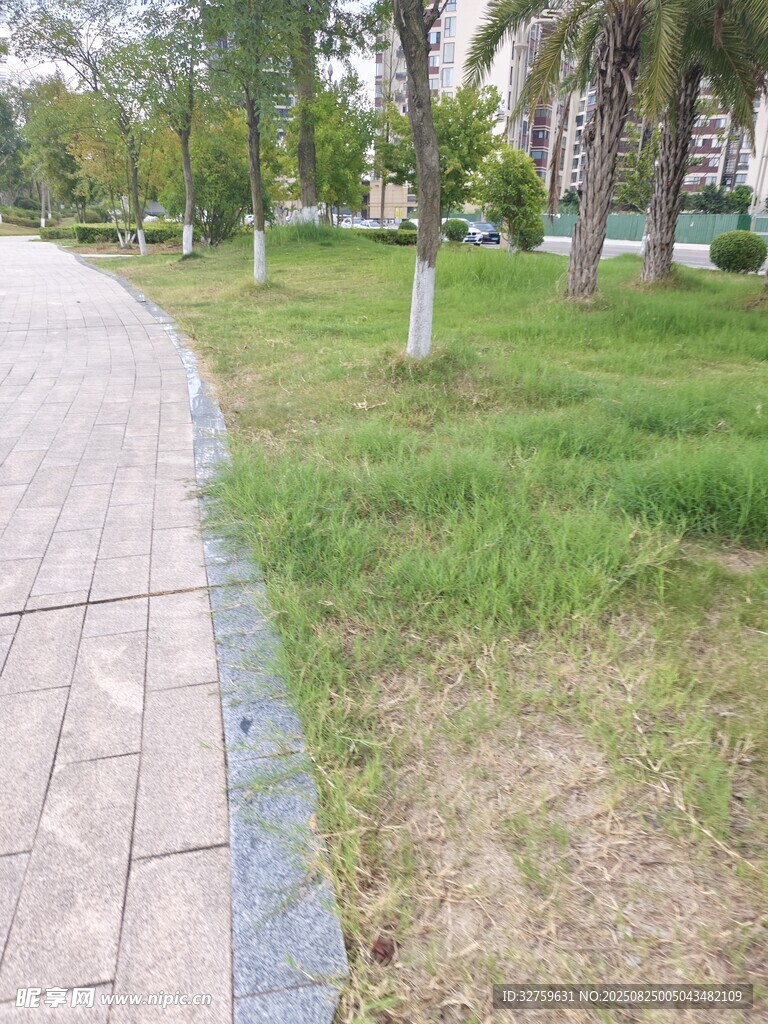 公园中的砖石步道与草地
