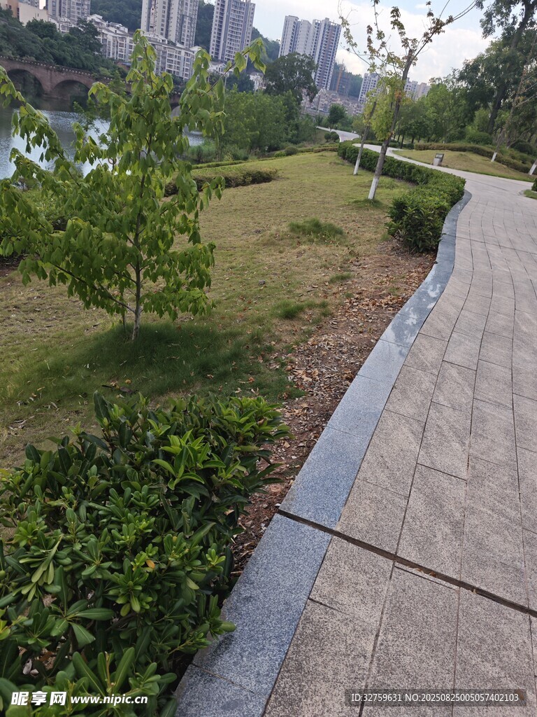 城市中的静谧步道景观