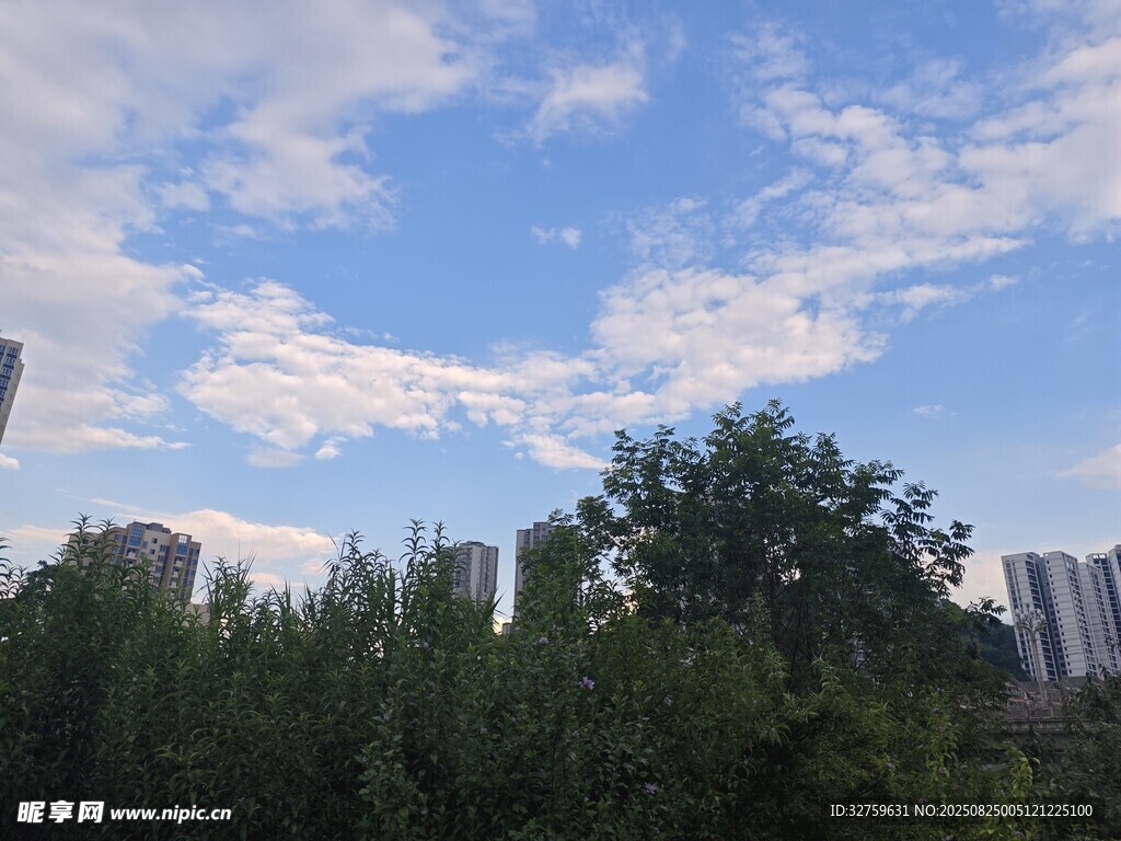 蓝天白云下的城市绿树景