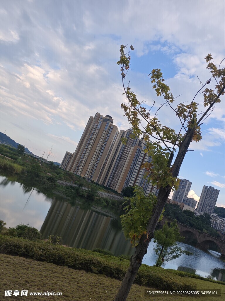 湖畔高楼与绿树景致