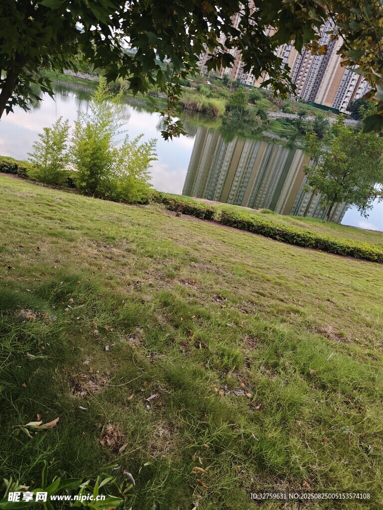 湖畔草地与远处建筑景观