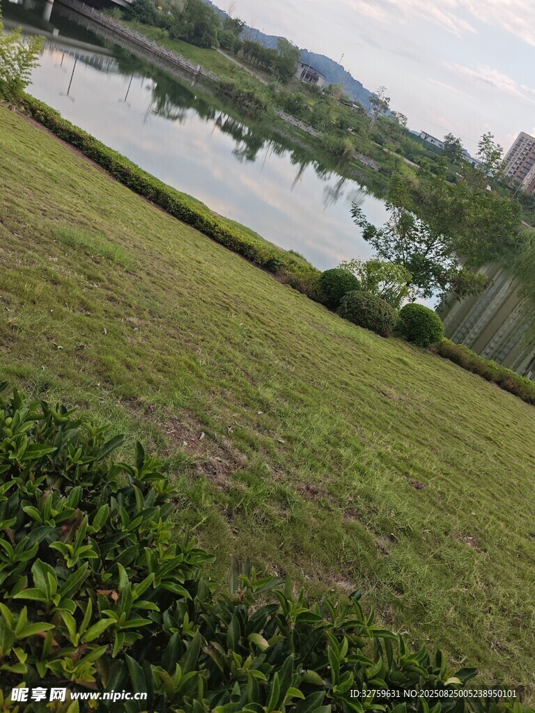 湖畔绿地风光