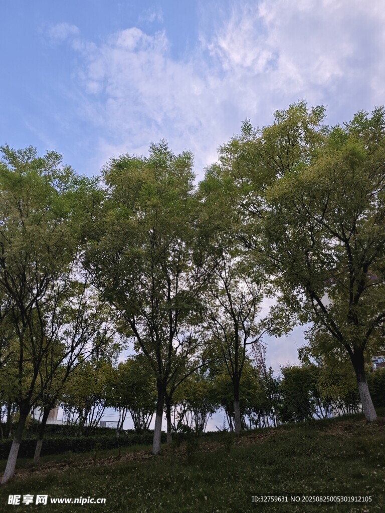 湖畔绿树蓝天风景如画