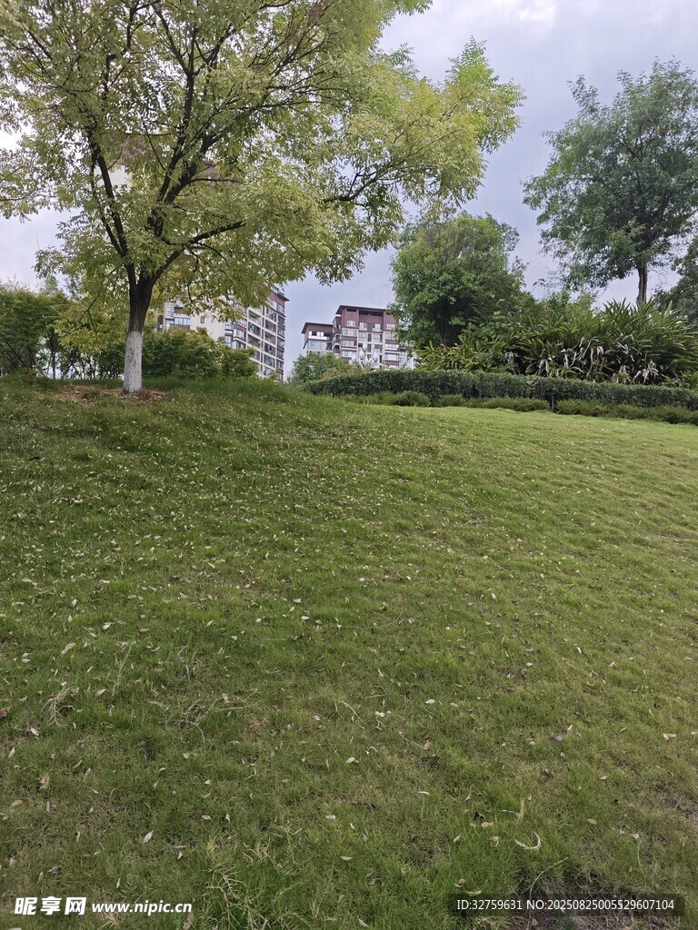 户外绿草如茵的开阔场地