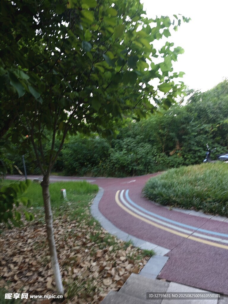 公园中蜿蜒的多彩步道