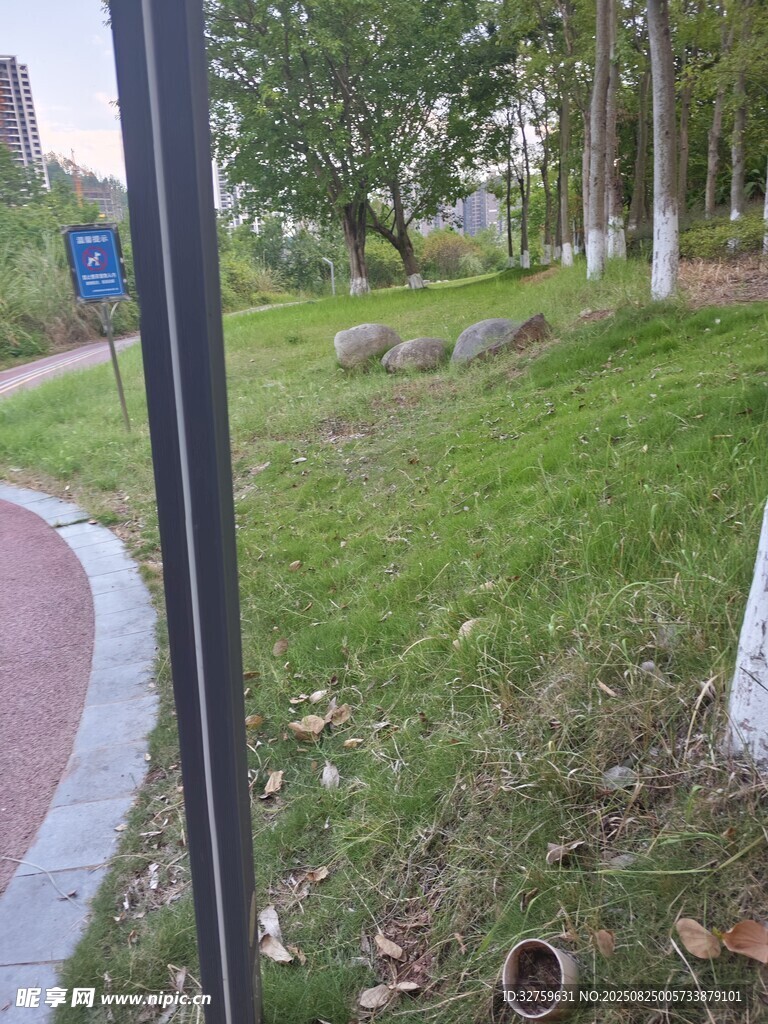 公园小径旁的绿植景观