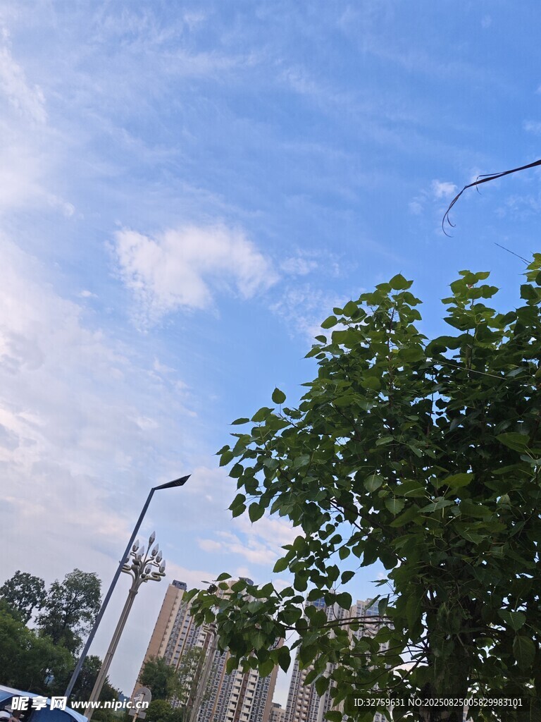 蓝天白云下的绿树与路灯