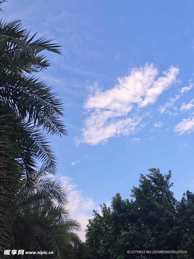 蓝天绿树间的白云美景