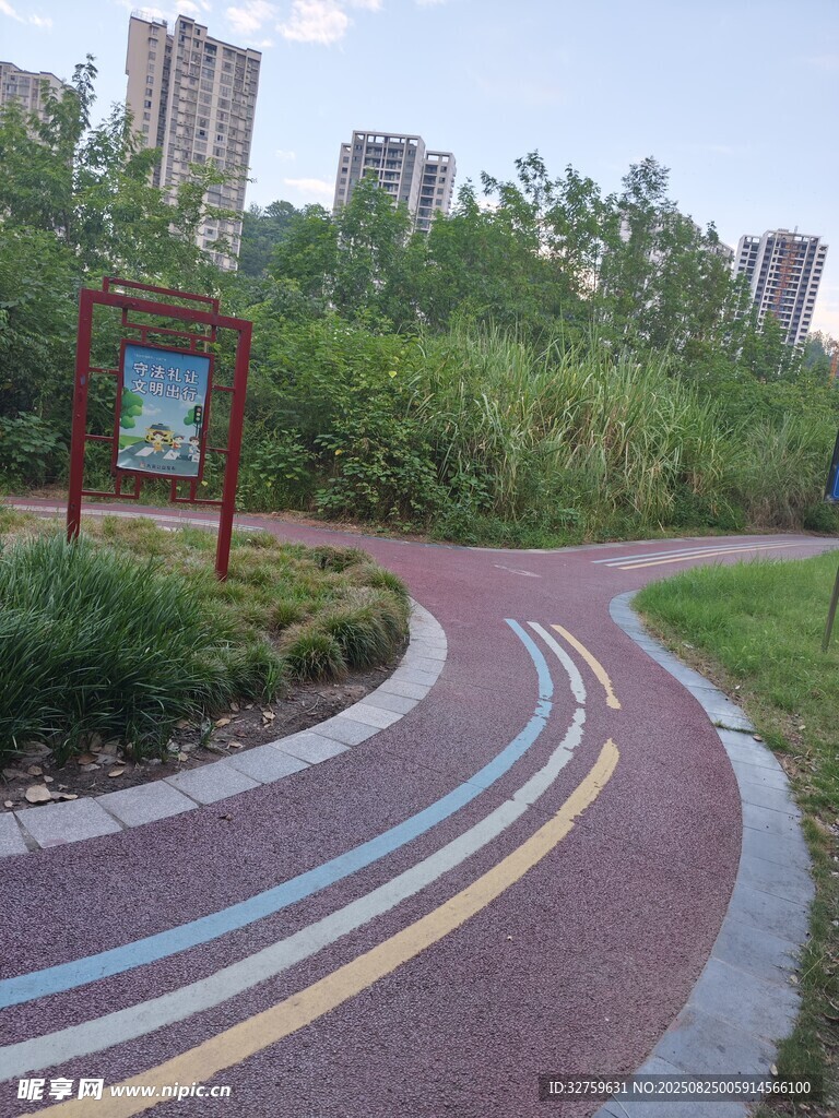 彩色步道旁的城市绿地景观