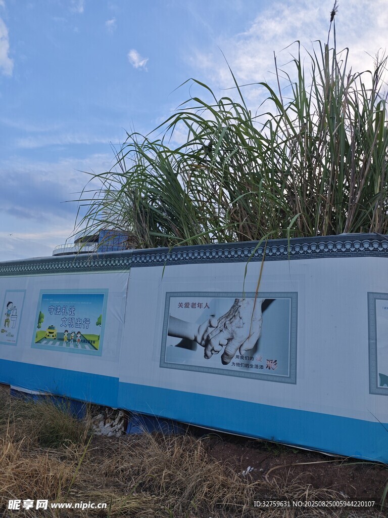 户外蓝白装饰墙与绿植景观