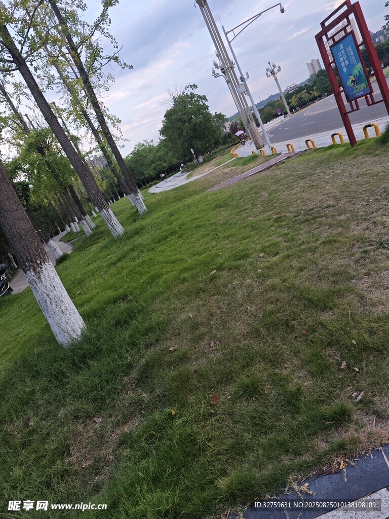 户外草地旁的休闲场景