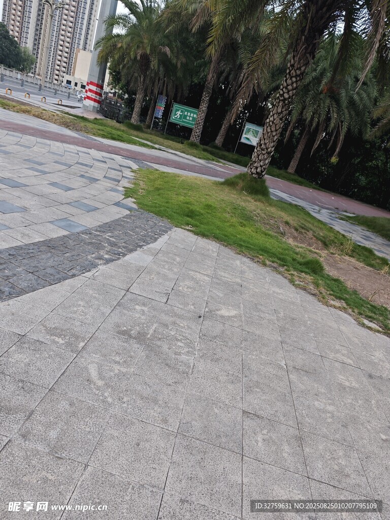 城市街道旁的绿化景观