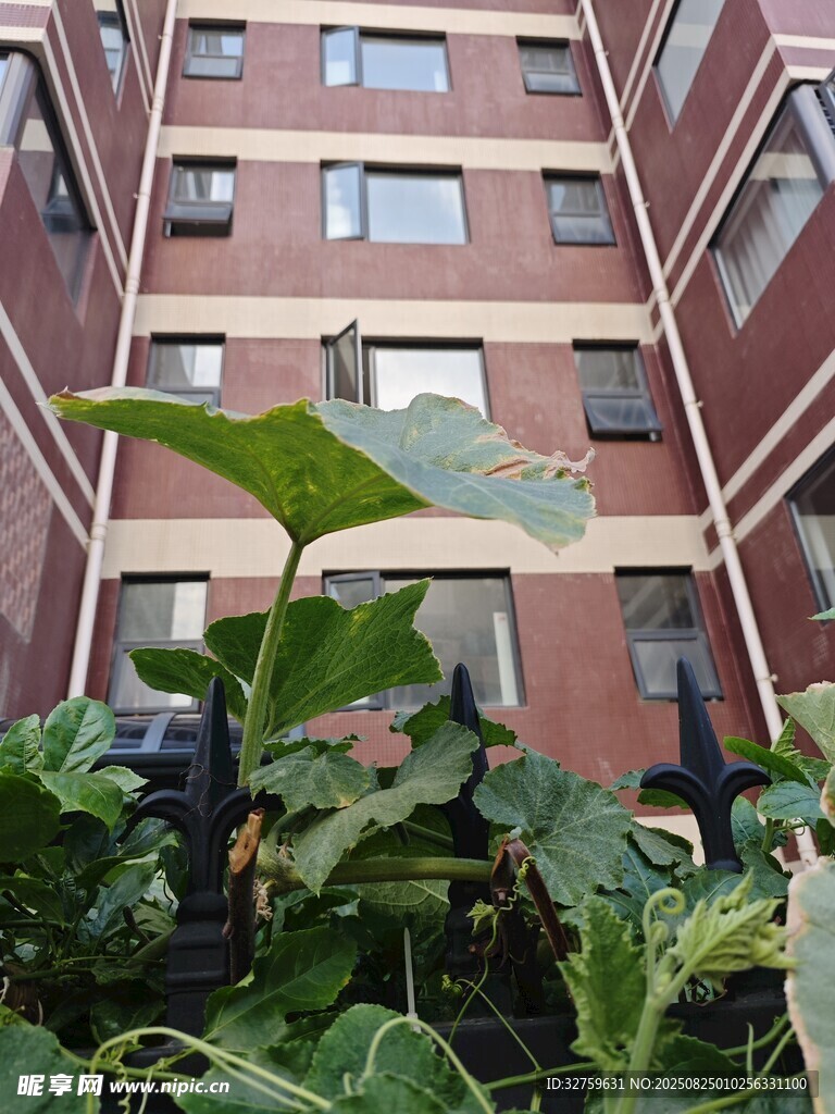 红砖建筑前的绿植景观