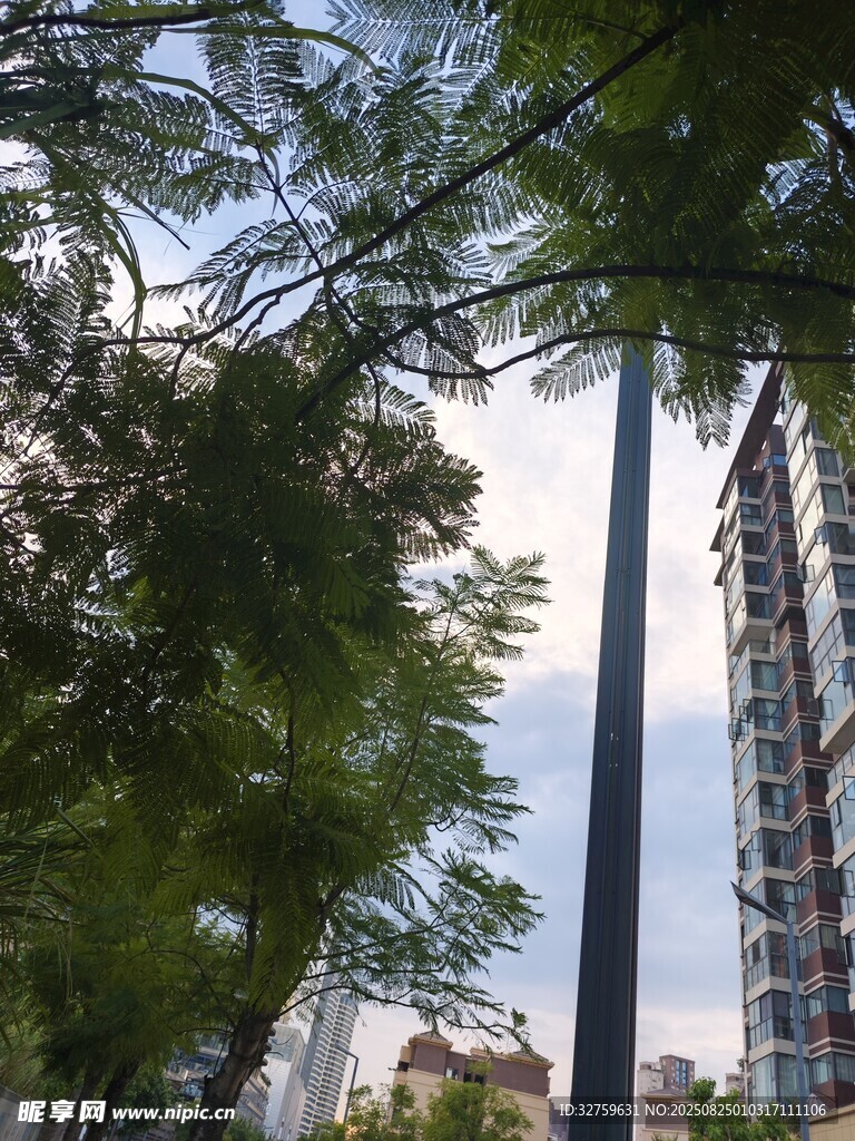 绿树掩映下的高楼景观