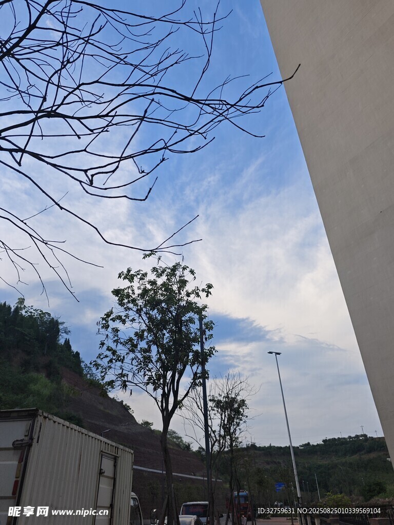 户外蓝天树木建筑景致