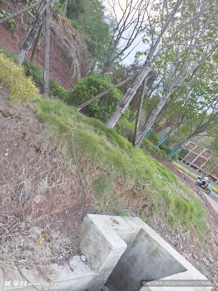 户外山坡边的自然景致