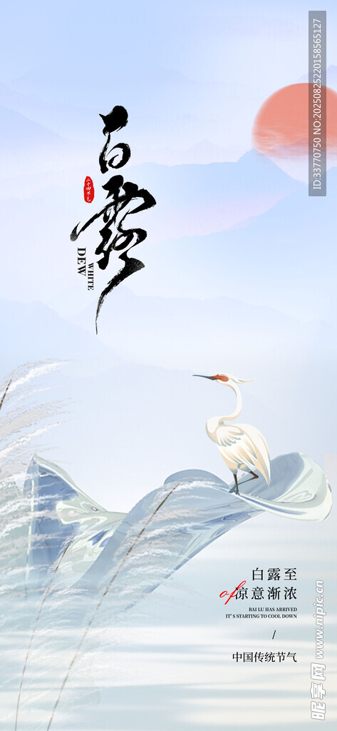 白露