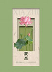 夏至海报