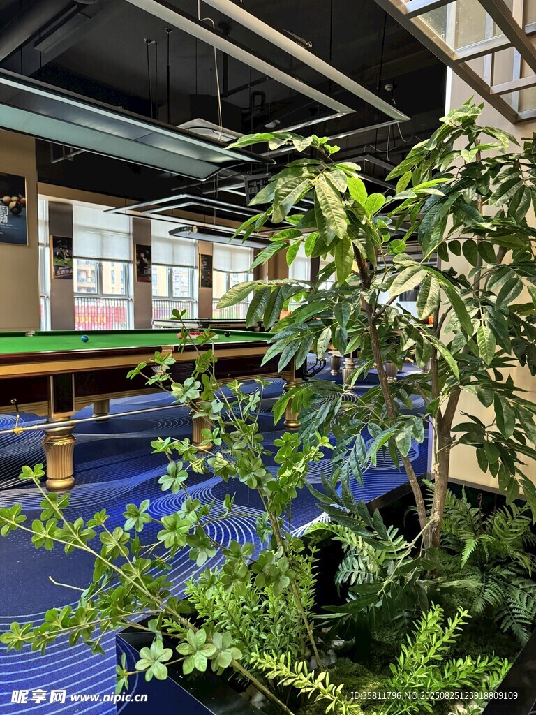 室内绿植环绕的台球休闲区
