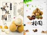 桂圆海报