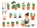 盆栽绿植插图