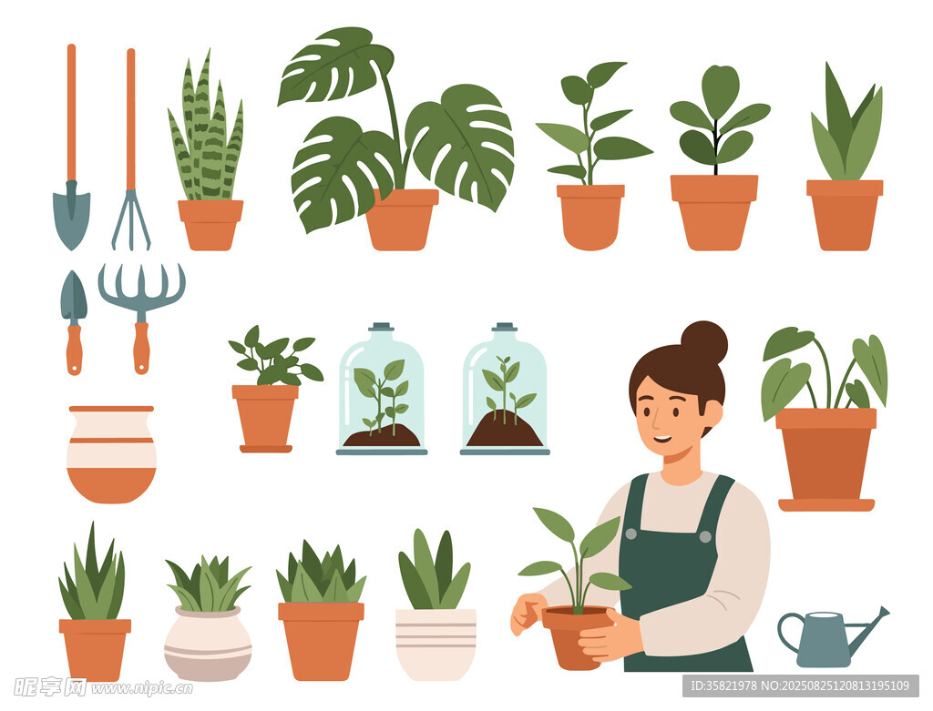 盆栽绿植插图