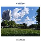 城市绿地与蓝天白云景观