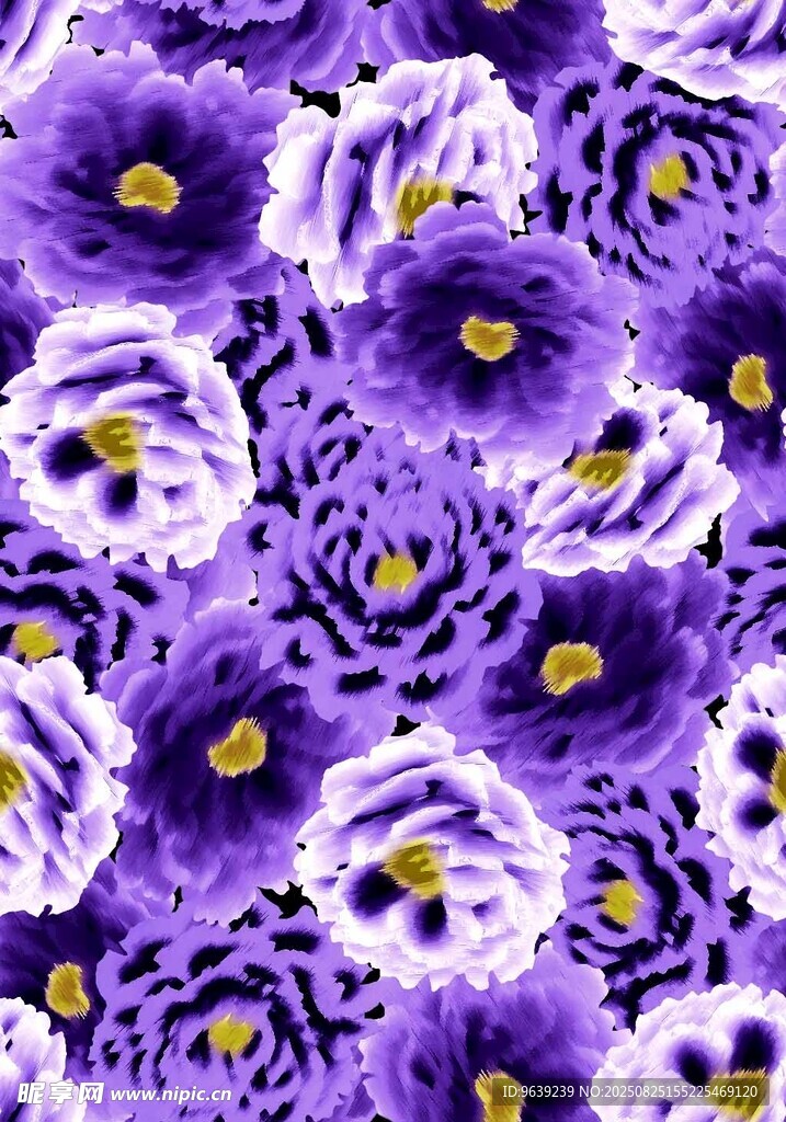 紫色花卉