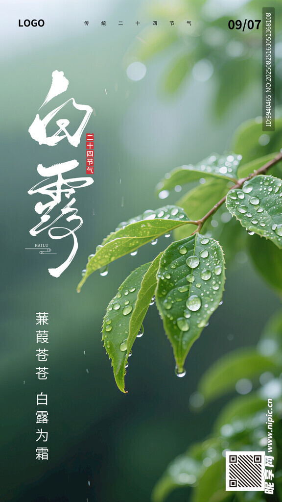 白露节气