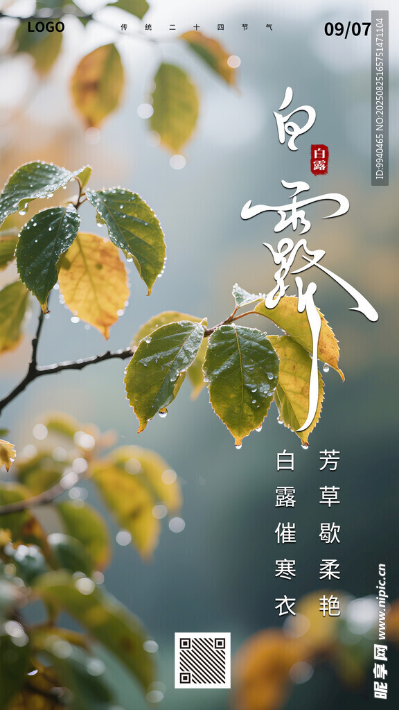 白露节气