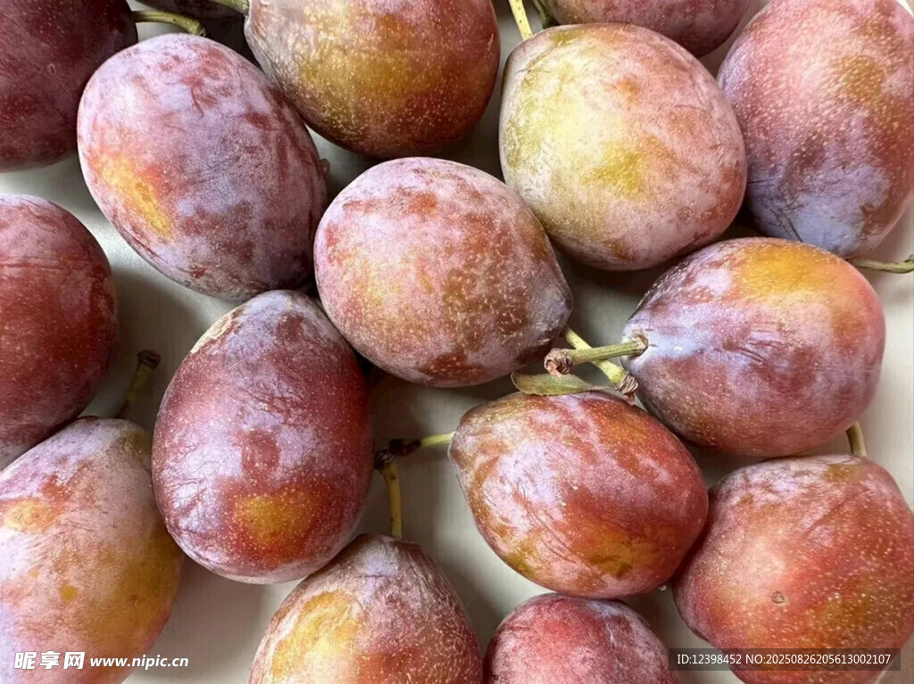 新鲜饱满的西梅果实