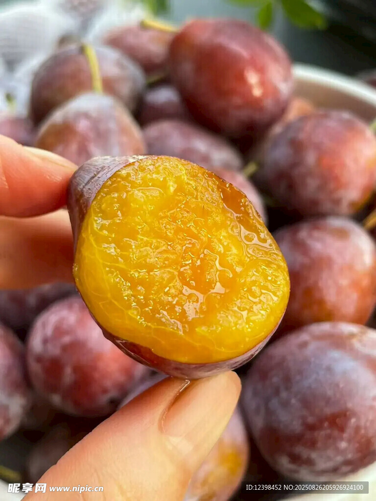 西梅