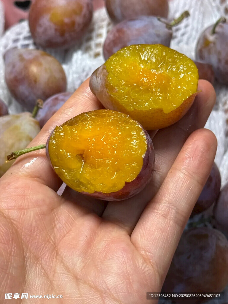 西梅