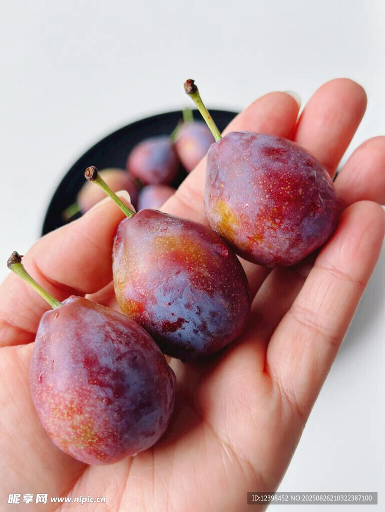 西梅