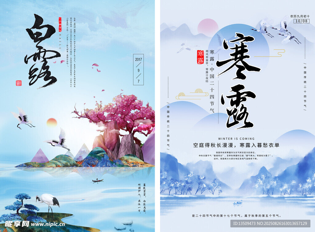 白露 节气